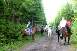 vacation cottage rentals in New Brunswick, Canada